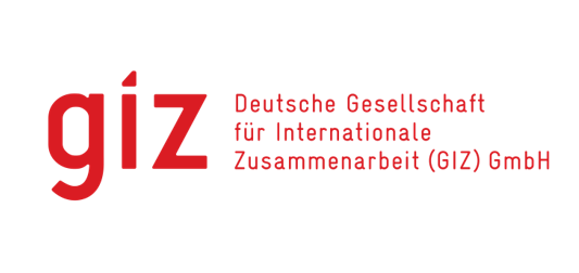 logo giz2